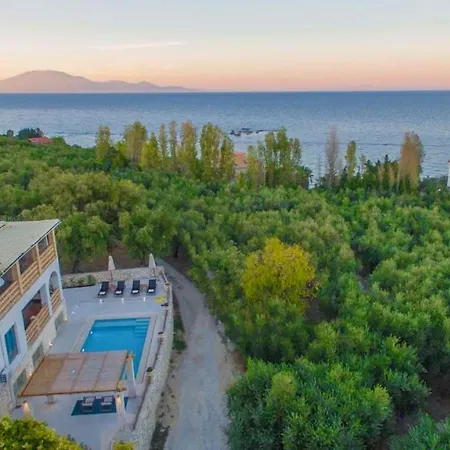 Daphne * Tsilivi (Zakynthos)